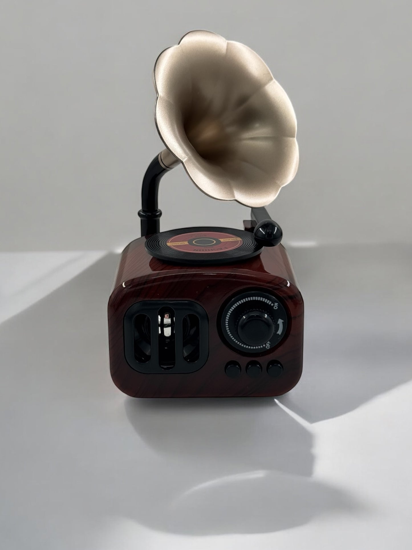 Gramafon Görünümlü Radyo