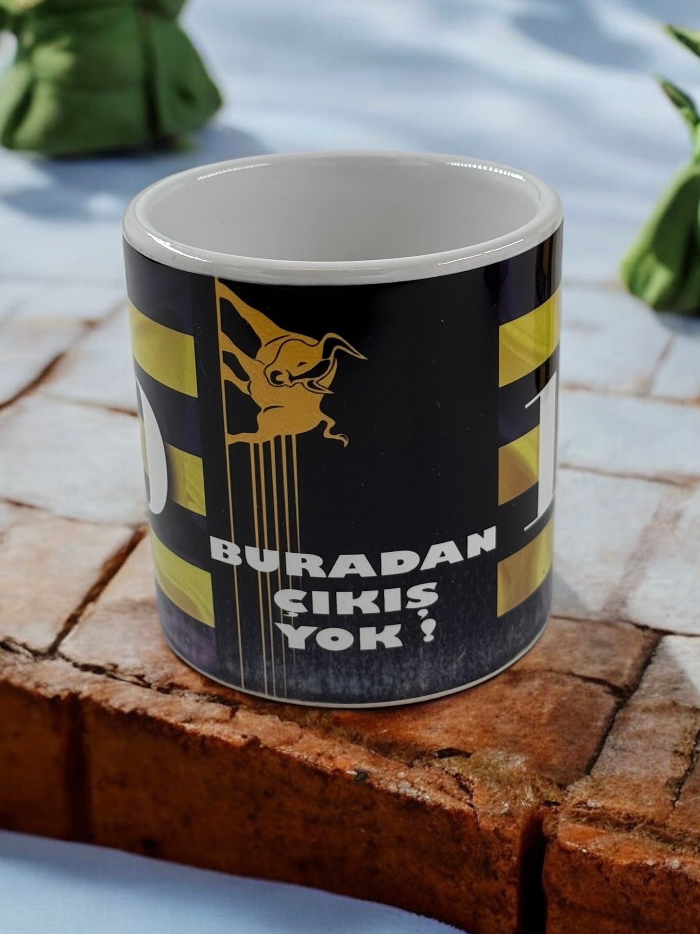 Fenerbahçe Taraftar Kupa 1907