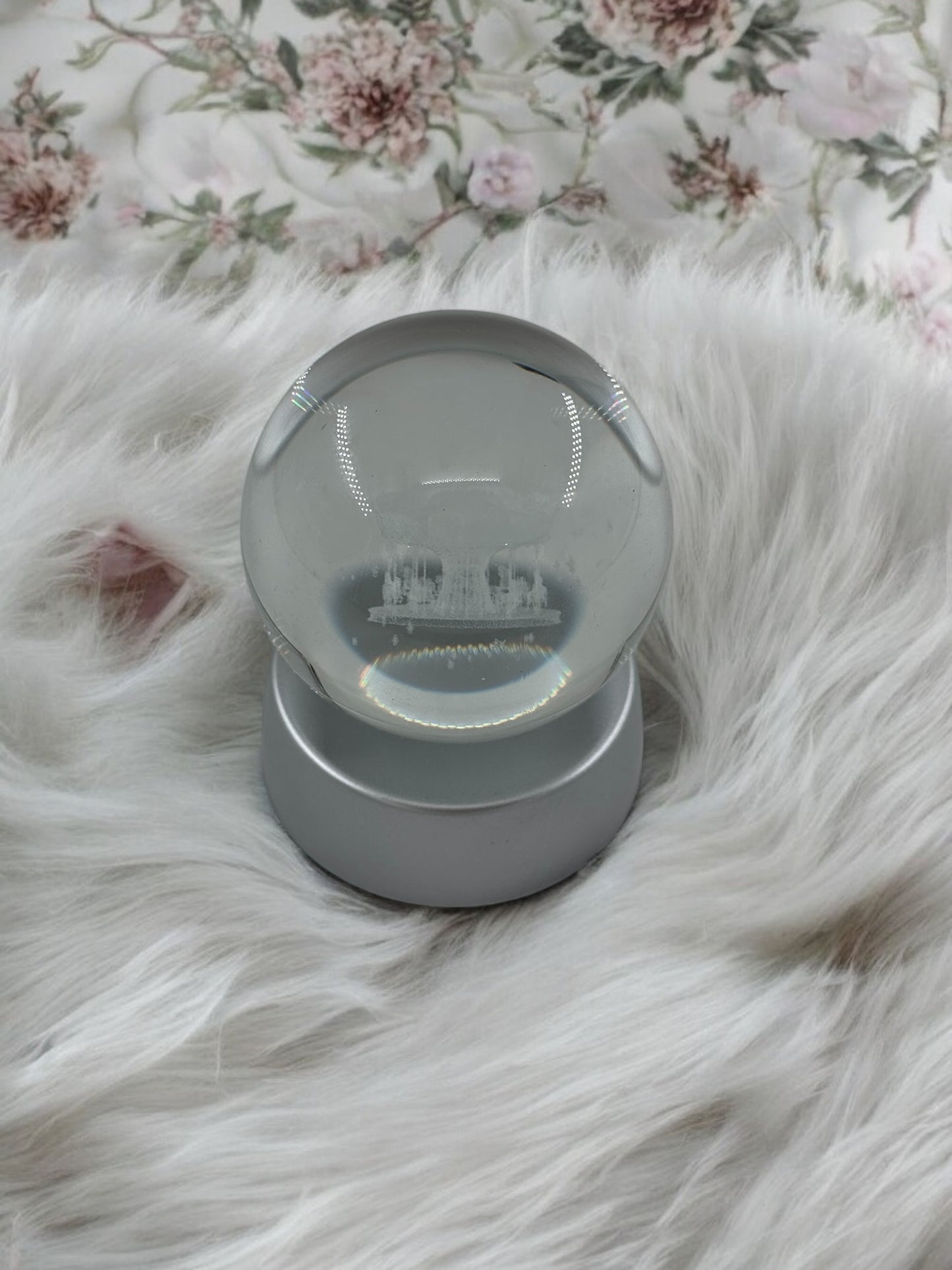 Atlı Karınca Cam Küre