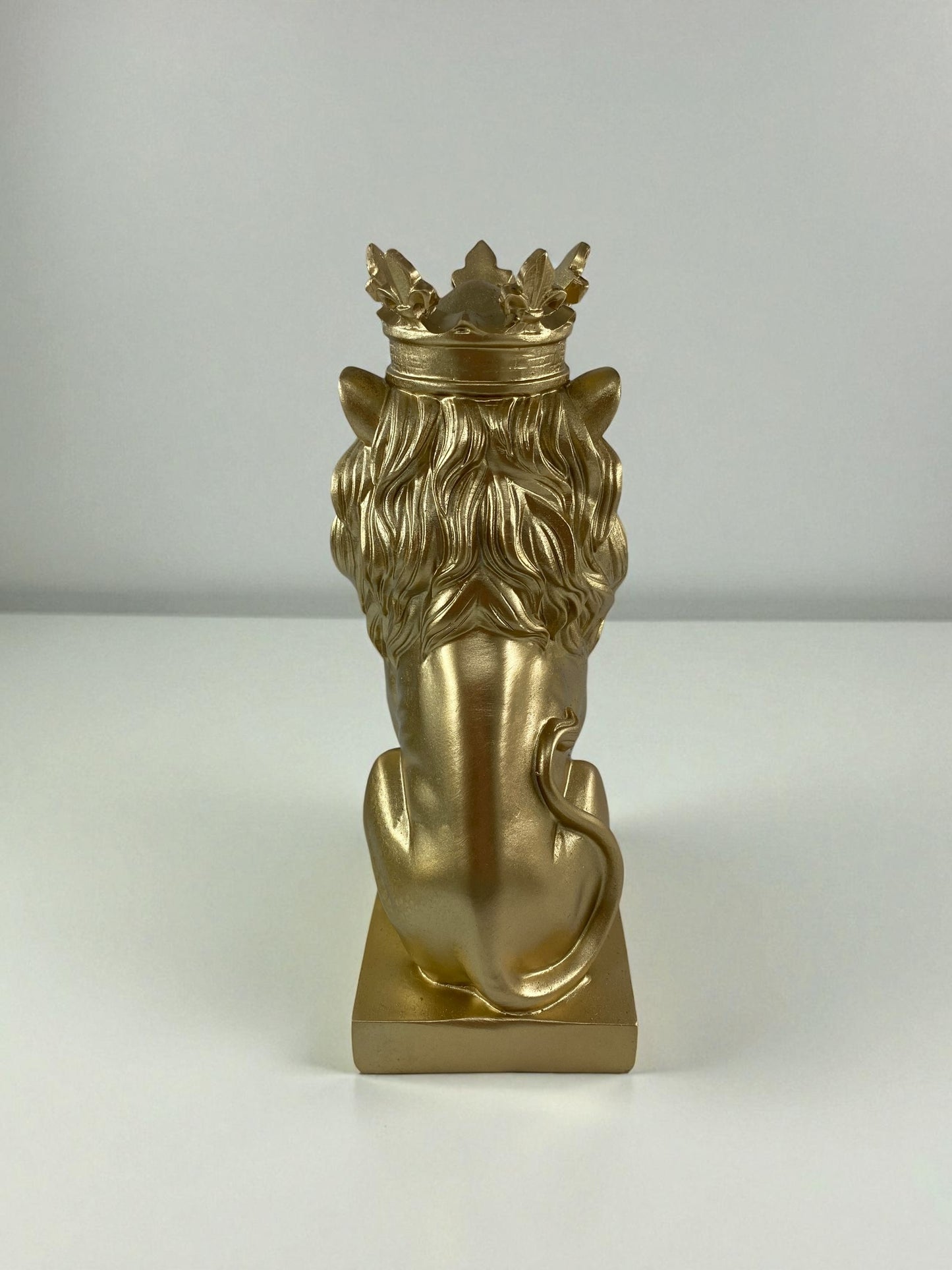 Aslan Polyester Biblo