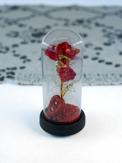 Cam Fanus İçinde Solmayan Eşsiz Gül