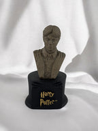Harry Potter Biblo