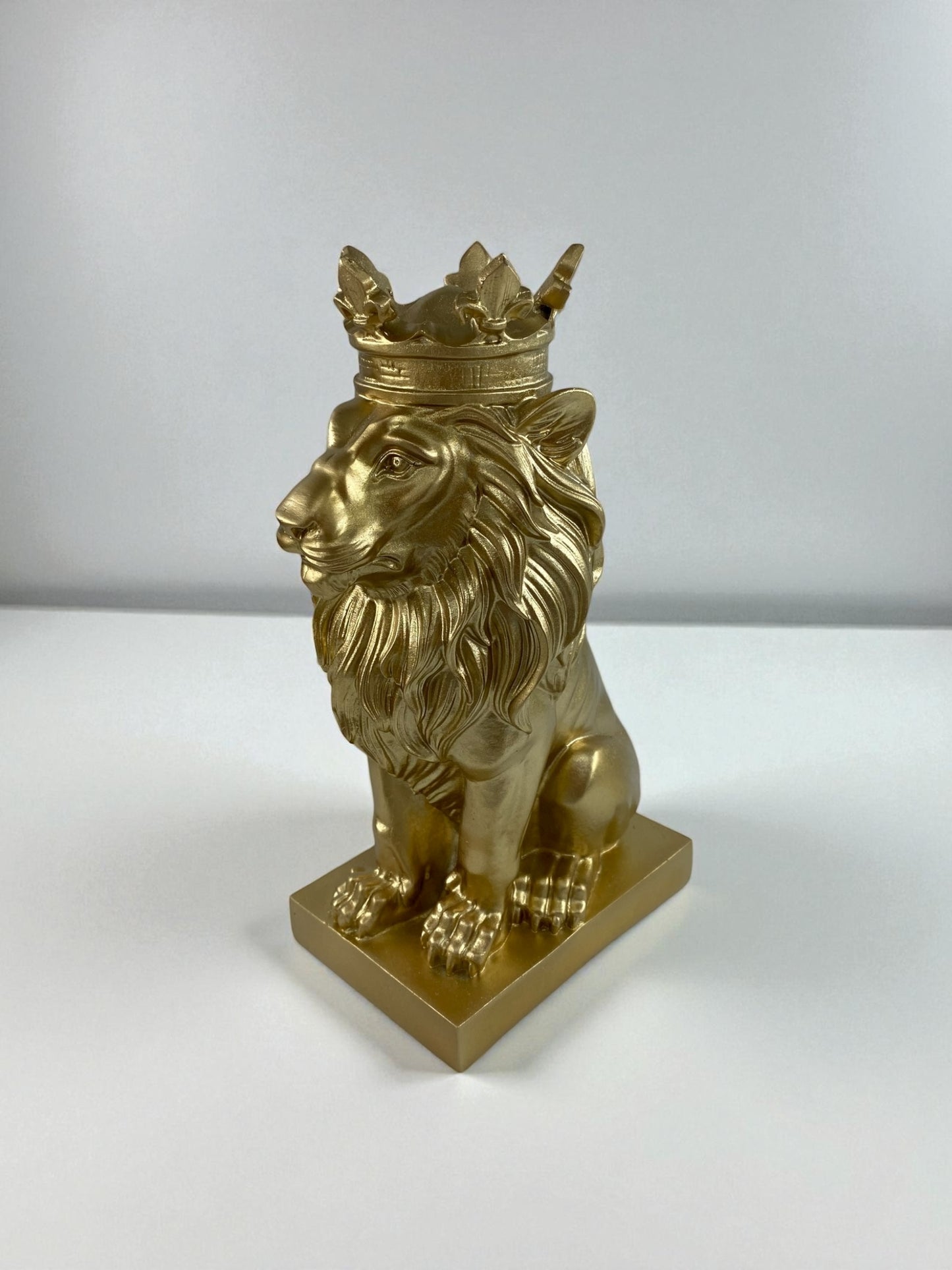 Aslan Polyester Biblo