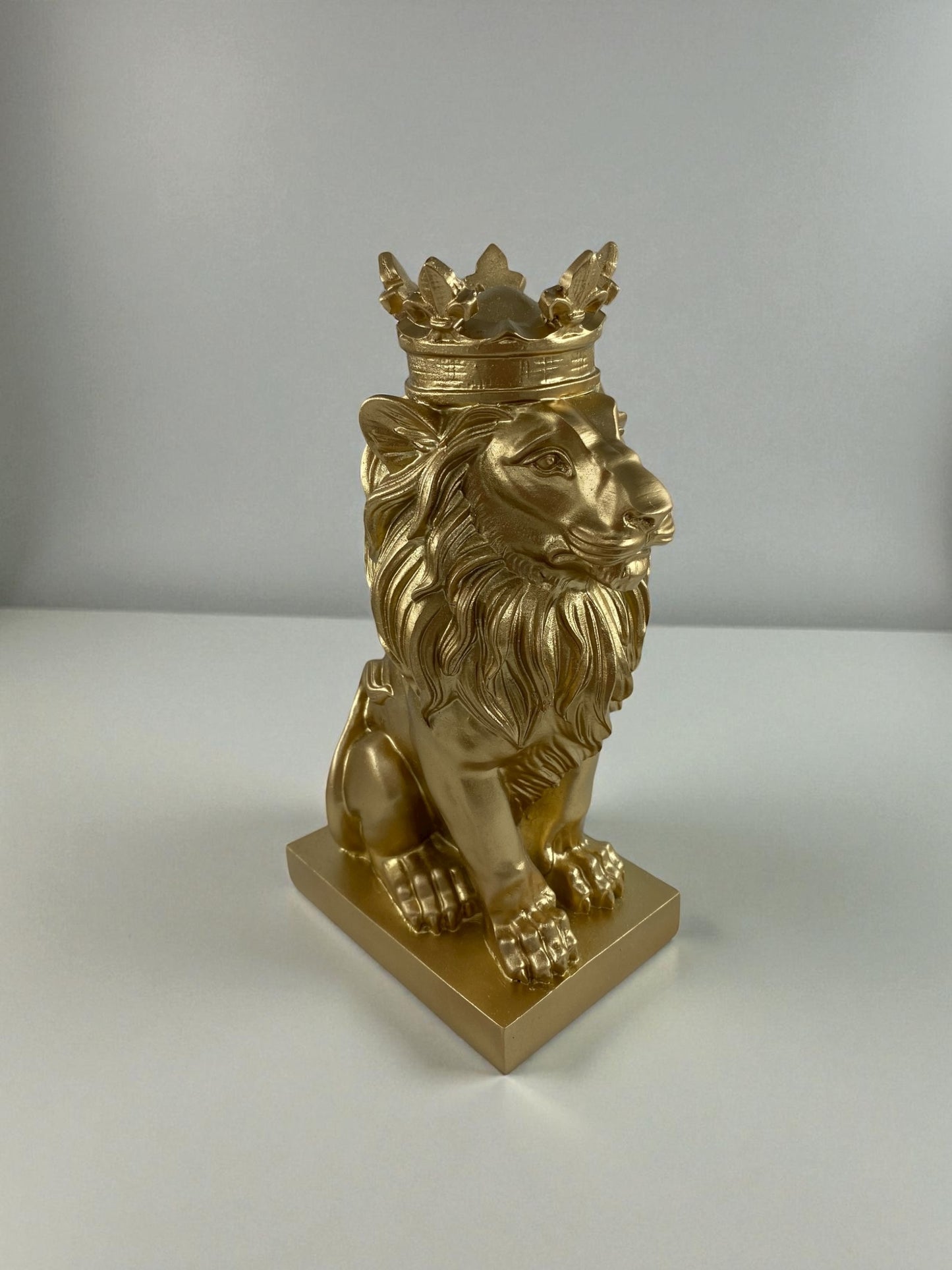 Aslan Polyester Biblo