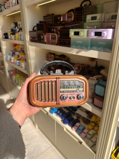 Nostaljik Bluetooth Bağlantılı Radyo VM-840