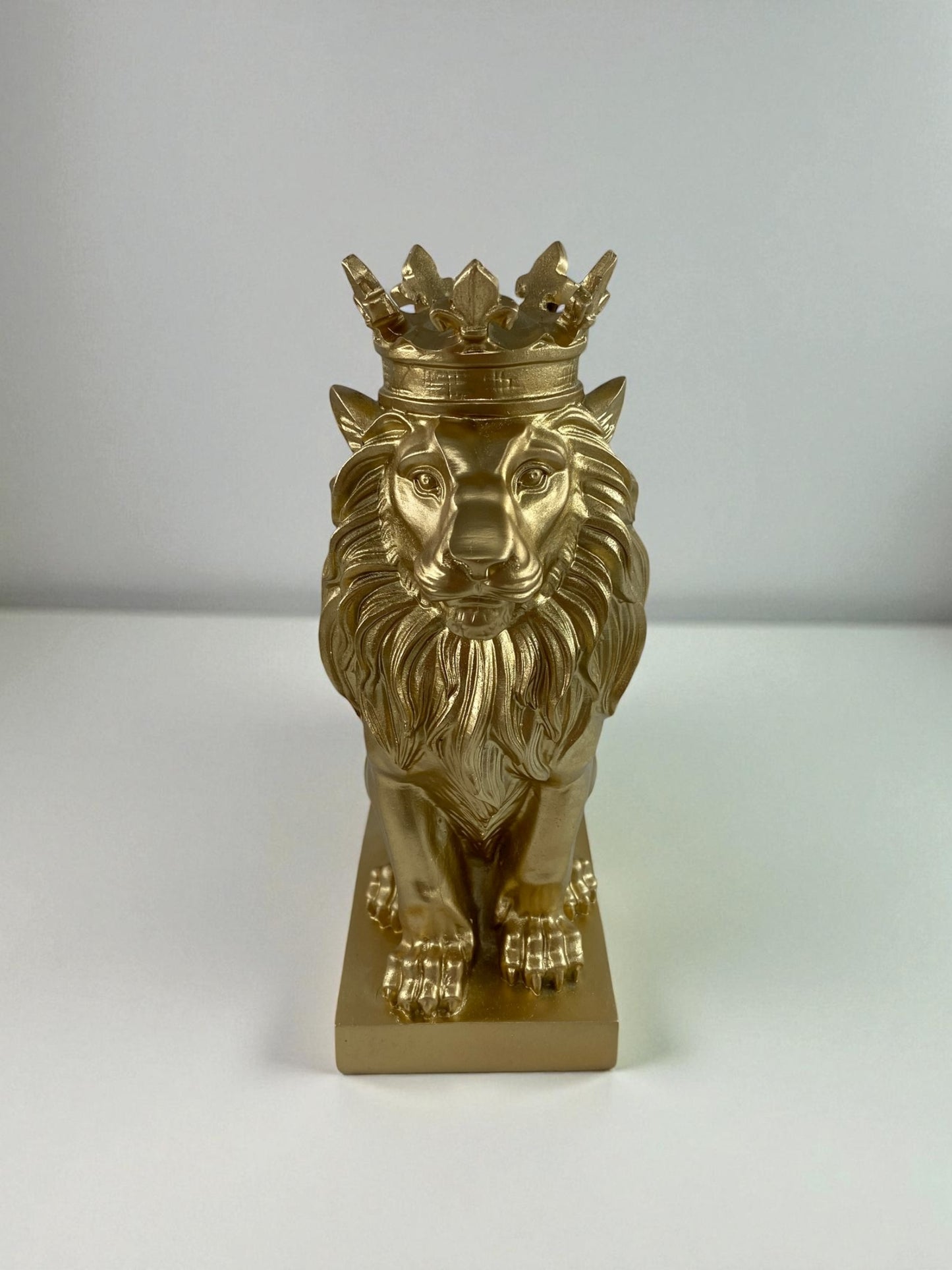 Aslan Polyester Biblo