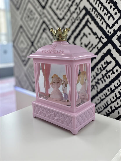 Sevgili Temalı Işıklı Simli Pls. Fanus