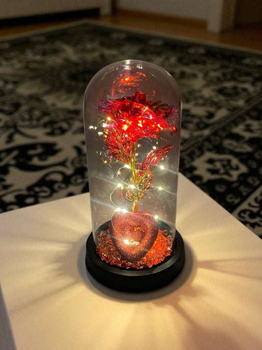 Cam Fanus İçinde Solmayan Eşsiz Gül