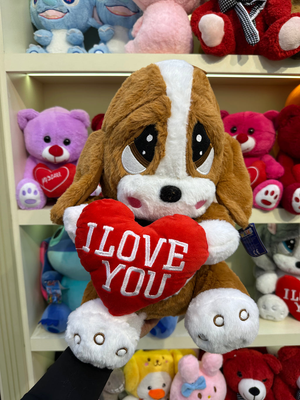 Tatlı yumuşak köpek