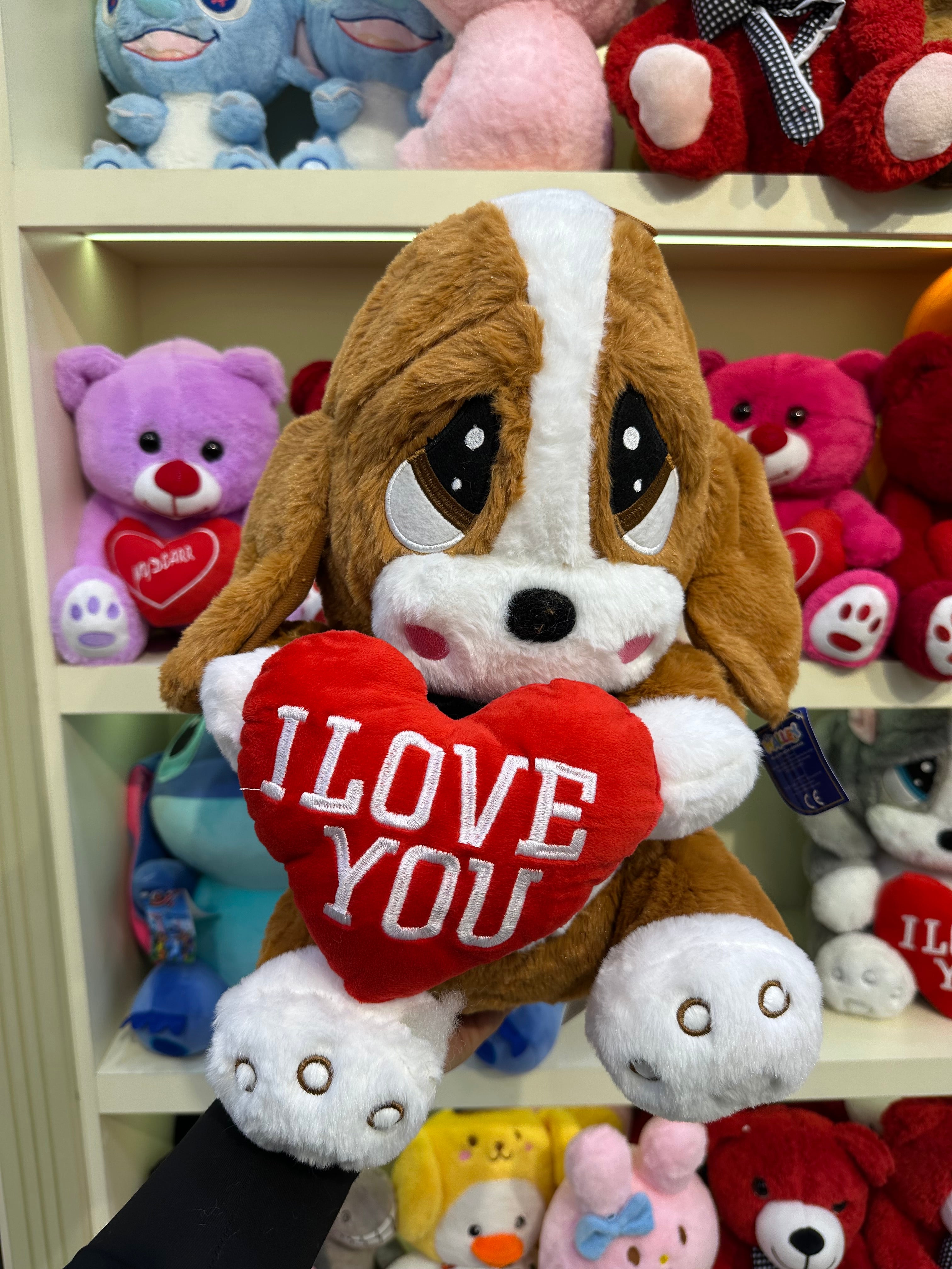 Tatlı yumuşak köpek