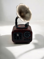 Gramafon Görünümlü Radyo