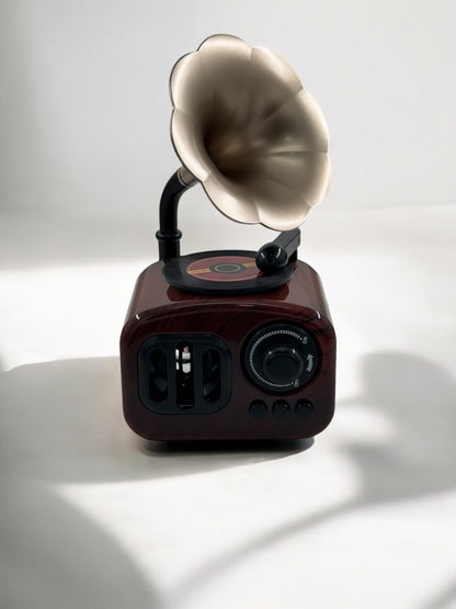 Gramafon Görünümlü Radyo