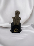Harry Potter Biblo