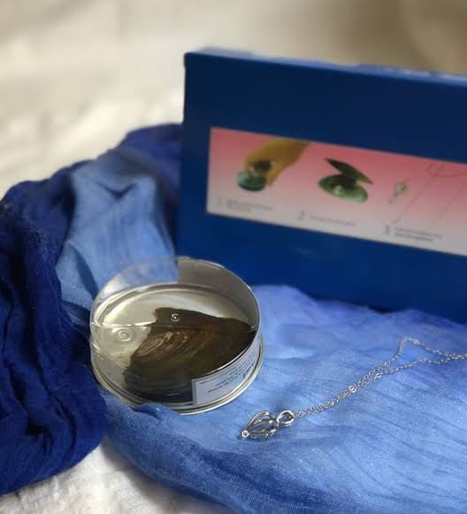 İstiridye İçinde İnci Kolye 1005