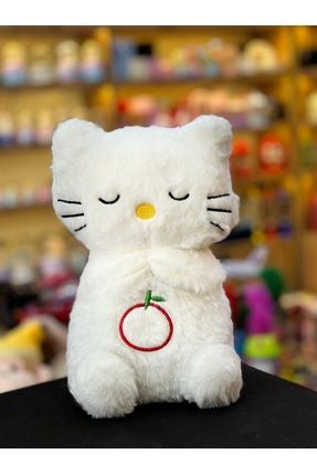 Nefes Alan Uyku Arkadaşı Kedi 7184