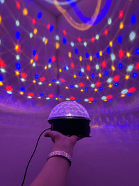 Parti - Organizasyon